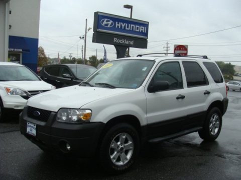 Oxford White Ford Escape XLT 4WD.  Click to enlarge.
