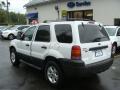 2007 Escape XLT 4WD #6