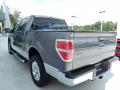 2010 F150 XLT SuperCrew #2