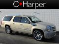 2010 Escalade ESV Platinum AWD #1