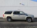2010 Escalade ESV Platinum AWD #2