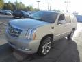 2010 Escalade ESV Platinum AWD #6