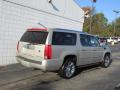 2010 Escalade ESV Platinum AWD #9