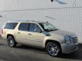 2010 Escalade ESV Platinum AWD #25
