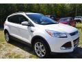 2013 Escape SEL 2.0L EcoBoost 4WD #1