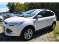 2013 Escape SEL 2.0L EcoBoost 4WD #3