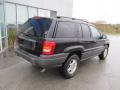 2002 Grand Cherokee Laredo 4x4 #8