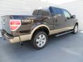 2013 F150 Lariat SuperCrew 4x4 #4 2013 F150 Lariat SuperCrew 4x4 #4