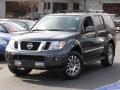 2010 Pathfinder LE #1