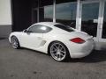 2010 Cayman #2 2010 Cayman #2