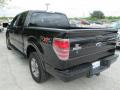 2010 F150 FX2 SuperCrew #7