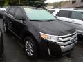 2011 Edge Limited AWD #3