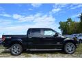 2013 F150 Lariat SuperCrew 4x4 #2