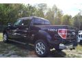 2013 F150 Lariat SuperCrew 4x4 #24