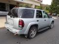 2007 TrailBlazer LS 4x4 #8