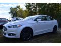 2014 Fusion SE EcoBoost #3