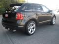 2011 Edge Limited #8