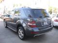 2010 ML 350 #4
