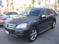 2010 ML 350 #5