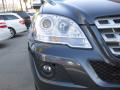 2010 ML 350 #23