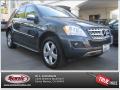 2010 ML 350 #26