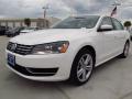 2014 Passat TDI SE #3 2014 Passat TDI SE #3