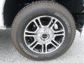2013 F350 Super Duty Platinum Crew Cab 4x4 #8