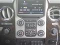2013 F350 Super Duty Platinum Crew Cab 4x4 #20