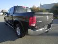 2014 1500 Outdoorsman Crew Cab 4x4 #3