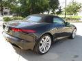 2014 F-TYPE  #10