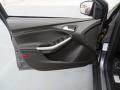Door Panel of 2014 Ford Focus SE Hatchback #24