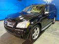 2009 GL 450 4Matic #3 2009 GL 450 4Matic #3