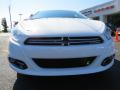 2013 Dart Limited #2 2013 Dart Limited #2