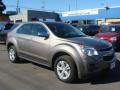 2010 Equinox LS #3 2010 Equinox LS #3
