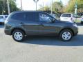 2010 Santa Fe GLS 4WD #5 2010 Santa Fe GLS 4WD #5