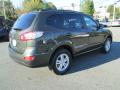 2010 Santa Fe GLS 4WD #6 2010 Santa Fe GLS 4WD #6