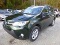 2013 RAV4 XLE AWD #7