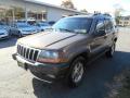 2001 Grand Cherokee Laredo 4x4 #3