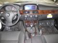 2009 5 Series 535i Sedan #10