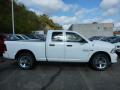 2014 1500 Express Quad Cab 4x4 #6