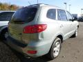 2007 Santa Fe GLS #4