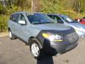 2007 Santa Fe GLS #5