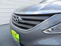 2014 Sonata GLS #10