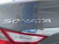 2014 Sonata GLS #13