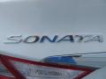 2014 Sonata Limited #13