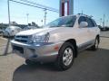 2006 Santa Fe GLS 3.5 4WD #3