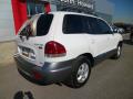 2006 Santa Fe GLS 3.5 4WD #10