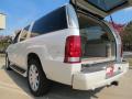 2004 Escalade ESV AWD #12