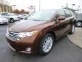 2011 Venza I4 #3