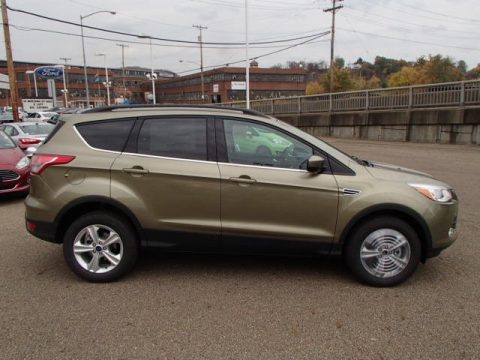 Ginger Ale Ford Escape SE 2.0L EcoBoost 4WD. Click to enlarge. Ginger Ale Ford Escape SE 2.0L EcoBoost 4WD. Click to enlarge.